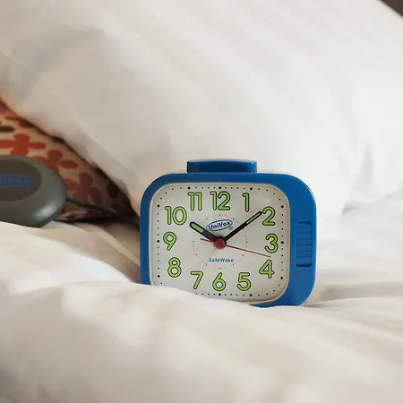 Scandic The Mayor Hotel