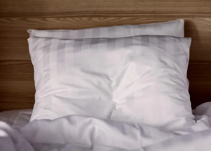 Scandic The Mayor Århus